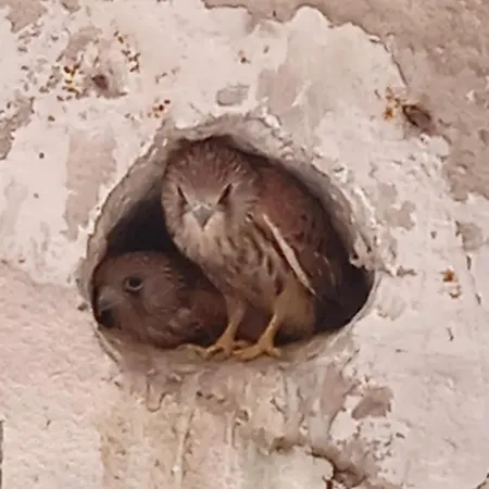 La Cisterna Del Vicinato 4* Matera